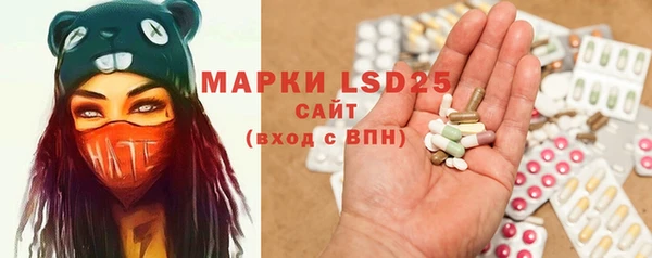ГАЛЛЮЦИНОГЕННЫЕ ГРИБЫ Новозыбков