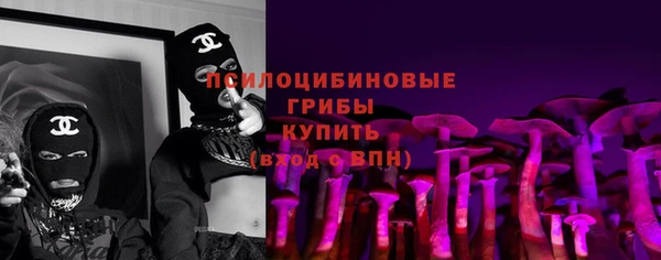ГАЛЛЮЦИНОГЕННЫЕ ГРИБЫ Няндома