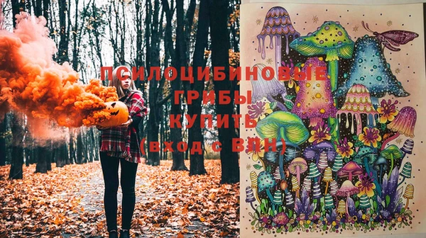 ГАЛЛЮЦИНОГЕННЫЕ ГРИБЫ Няндома