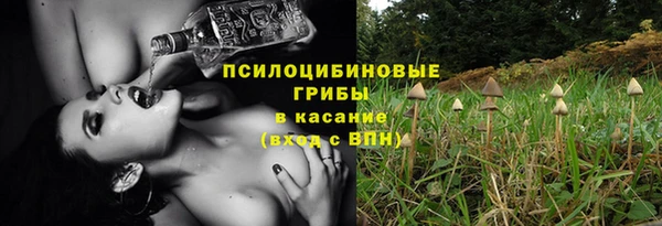 ГАЛЛЮЦИНОГЕННЫЕ ГРИБЫ Няндома