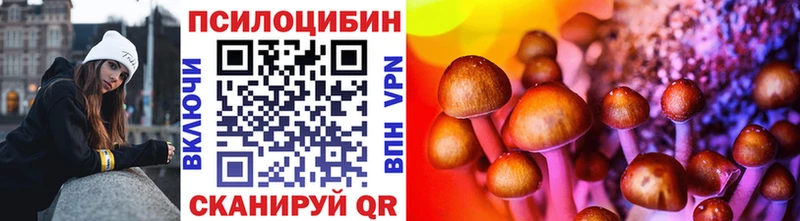 Купить закладки  Майкоп  Галлюциногенные грибы Psilocybe 