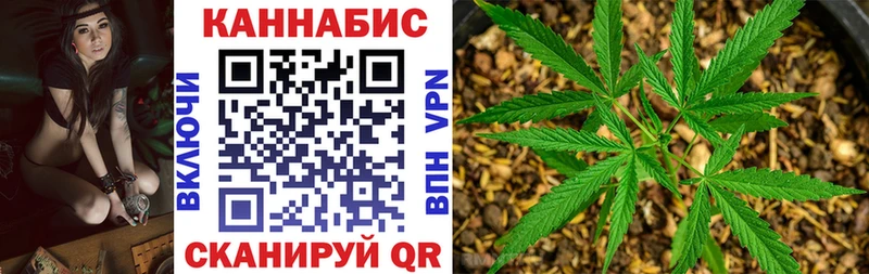 Канабис ГИДРОПОН  Купить где  Майкоп 